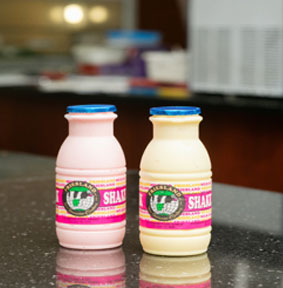 Friesland Milk Bar